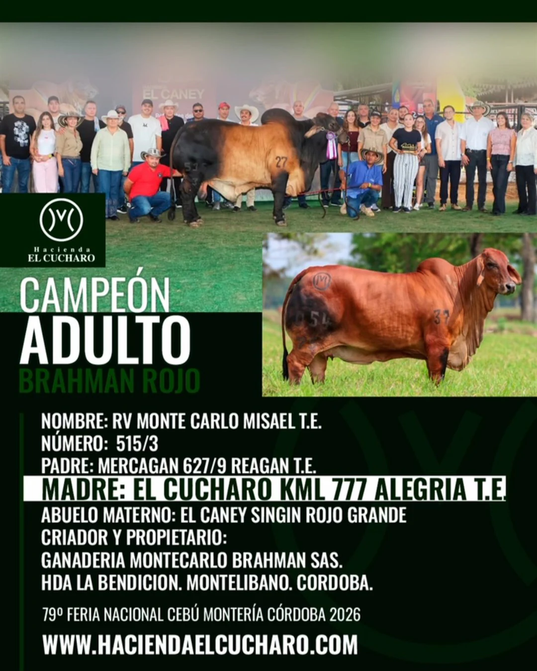 Campeón Adulto Brahman Rojo: RV Monte Carlo Misael T.E. 515/3, hijo de El Cucharo KML 777 Alegría T.E., en la 79.ª Feria Nacional Cebú Montería 2026