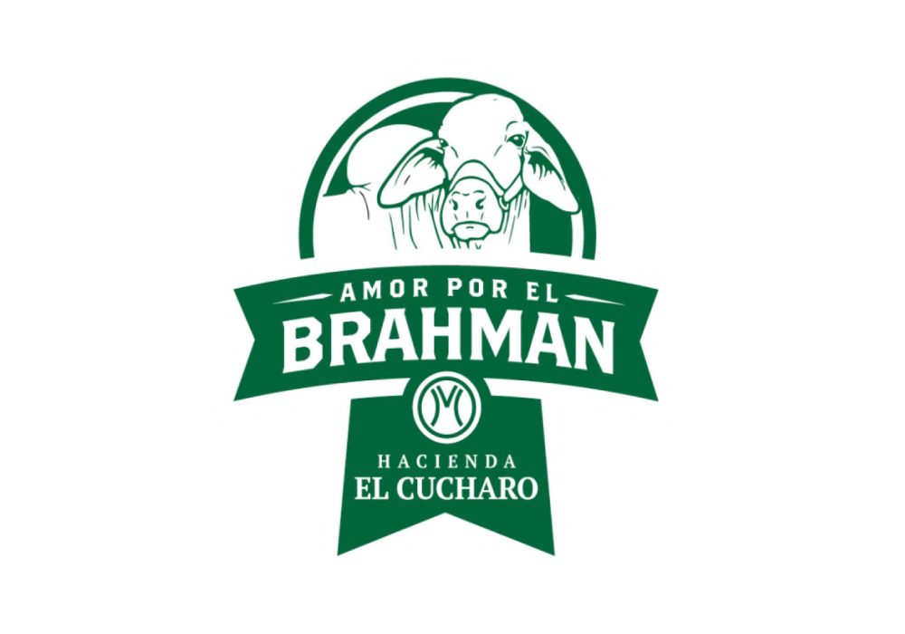 Amor por el Brahman