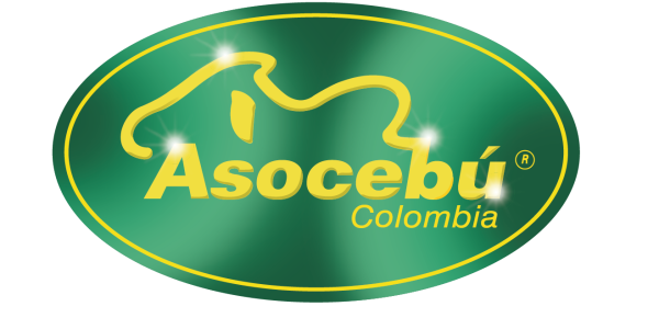 Asocebu-Alta
